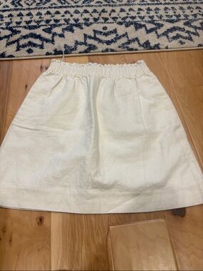 Jcrew Skirt 0